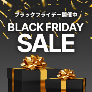 ブラックフライデーSALE