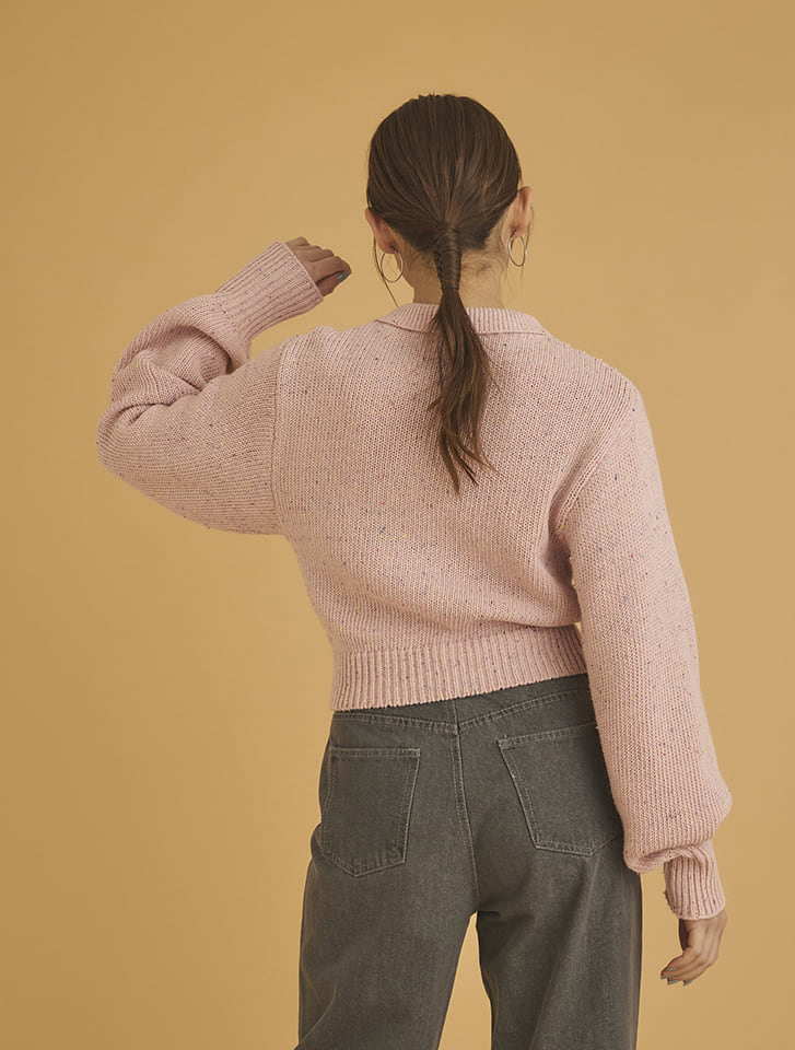 Edit Sheen ミックスカラー衿付ニット | 人気レディースファッション