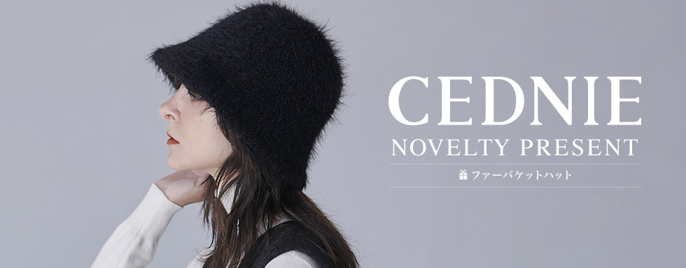 CEDNIEノベルティプレゼント