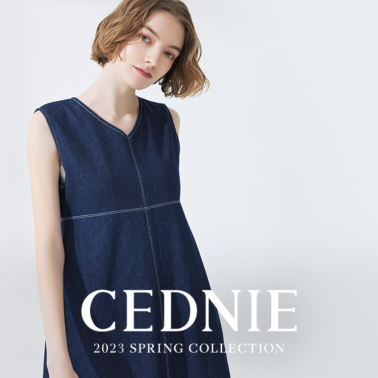 CEDNIE