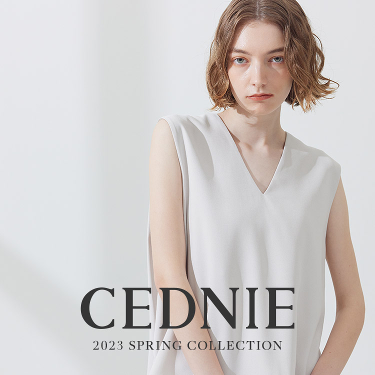 CEDNIE