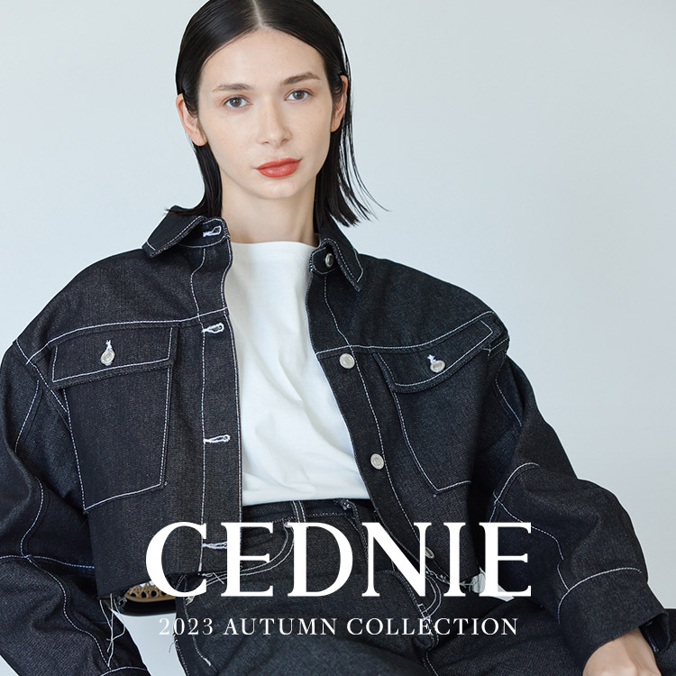 CEDNIE