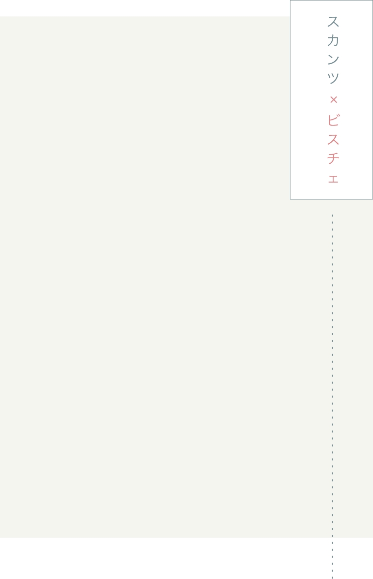 スカンツ×ビスチェ
