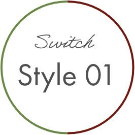Style 01