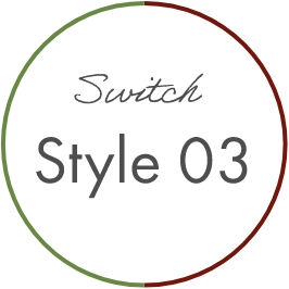 Style 03