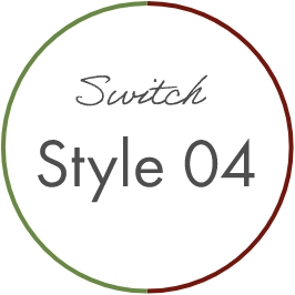 Style 04